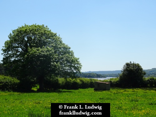 Around Lough Arrow